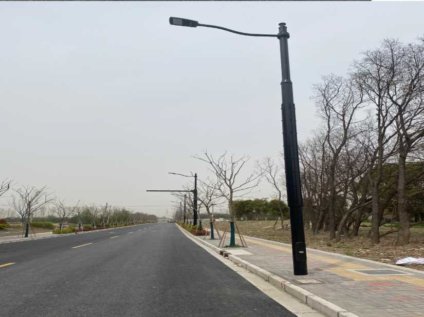 百色市上海综合杆 太阳能路灯工程
